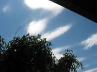 06082907Cloud.jpg