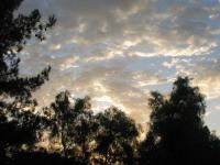 08090207Sunrise.jpg